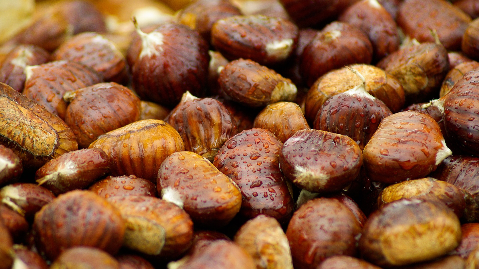 Chestnuts, Tourism - Itineraries - Greek wine