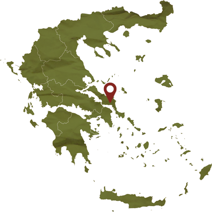Margo wine routes, Tourism - Itineraries - Greek wine