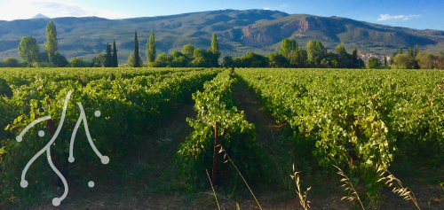 Nemea 1 day trip, Tourism - Itineraries - Margo Wine Routes